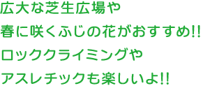 広大な芝生広場や春に咲くふじの花がおすすめ!!ロッククライミングやアスレチックも楽しいよ!!