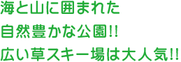 海と山に囲まれた自然豊かな公園!!広い草スキー場は大人気!!