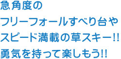 急角度のフリーフォールすべり台や
										スピード満載の草スキー!!
										勇気を持って楽しもう!!