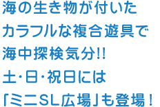 海の生き物が付いたカラフルな
										複合遊具で海中探検気分!!
										土・日・祝日には「ミニSL広場」も登場！