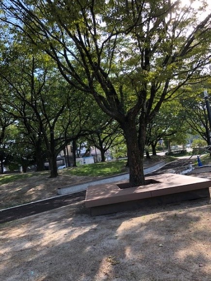公園の木陰にはベンチもあります