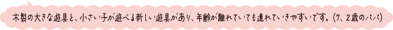 木製の大きな遊具と、小さい子が遊べる新しい遊具があり、年齢が離れていても連れていきやすいです。（7、2歳のパパ）