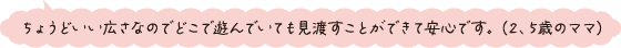 ちょうどいい広さなのでどこで遊んでいても見渡すことができて安心です。（2、5歳のママ）
