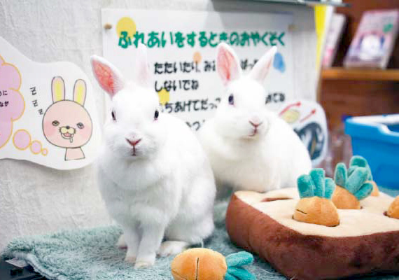 写真：吉野ヶ里歴史公園 3