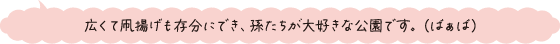 広くて凧揚げも存分にでき、孫たちが大好きな公園です。（ばぁば）