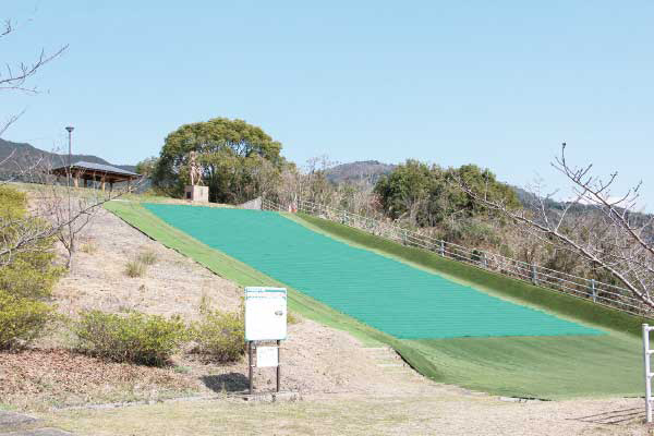 写真：ボタ山わんぱく公園 1