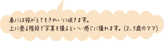 春には桜がとてもきれいに咲きます。上に登る階段で写真を撮るといい感じに撮れます。（2、5歳のママ）